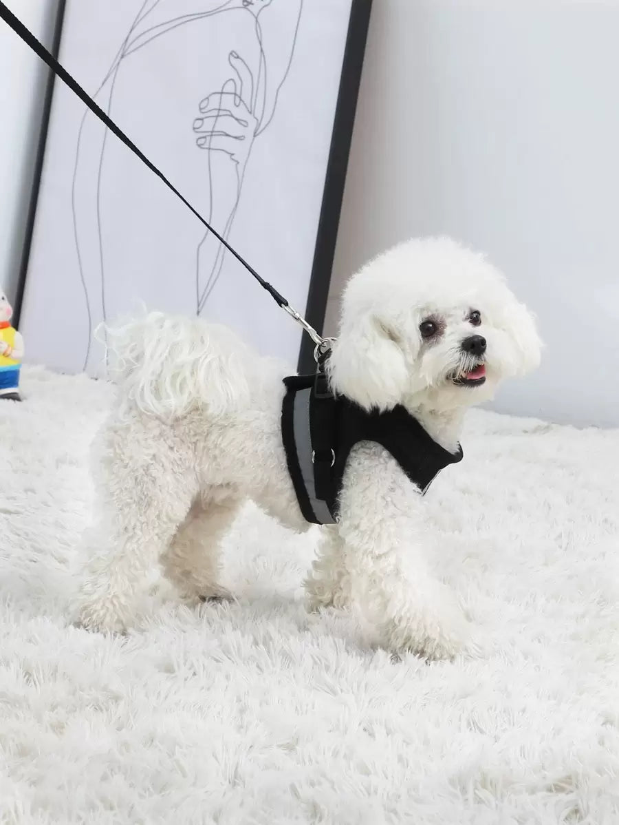 1set Breathable mesh with reflective strips pet Leash & Harness Set for outdoor