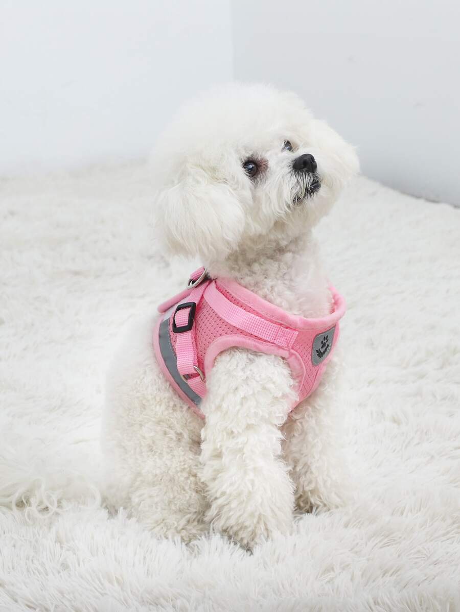 1set Breathable mesh with reflective strips pet Leash & Harness Set for outdoor