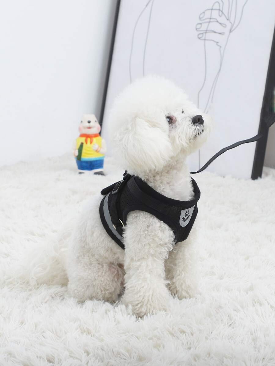 1set Breathable mesh with reflective strips pet Leash & Harness Set for outdoor