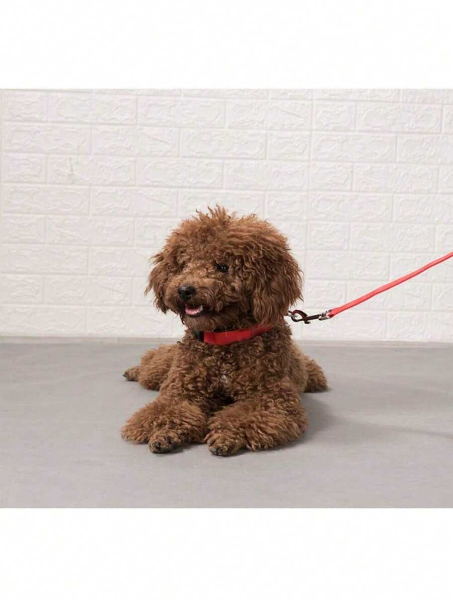 Adjustable Flashing Glow Pet Collar For Night