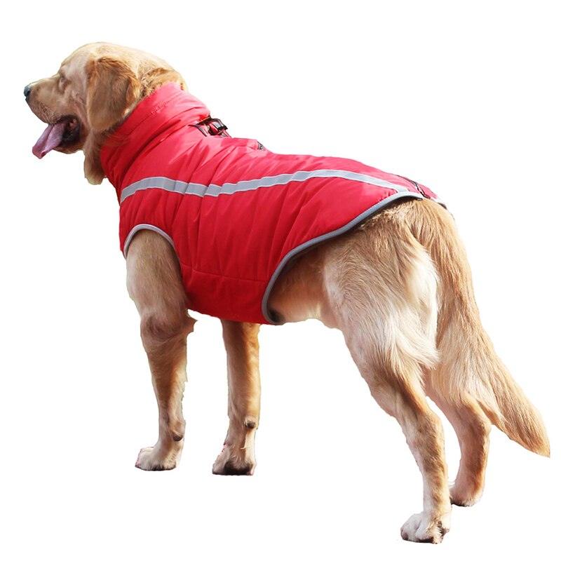 Ultra Cozy Windproof Dog Jacket