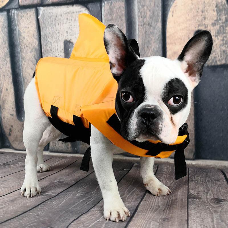 Shark Fin Dog Life Vest