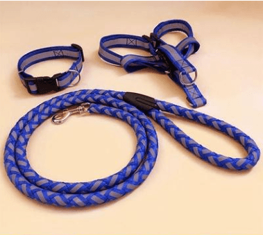 Ultimate Comfort Dog Leash