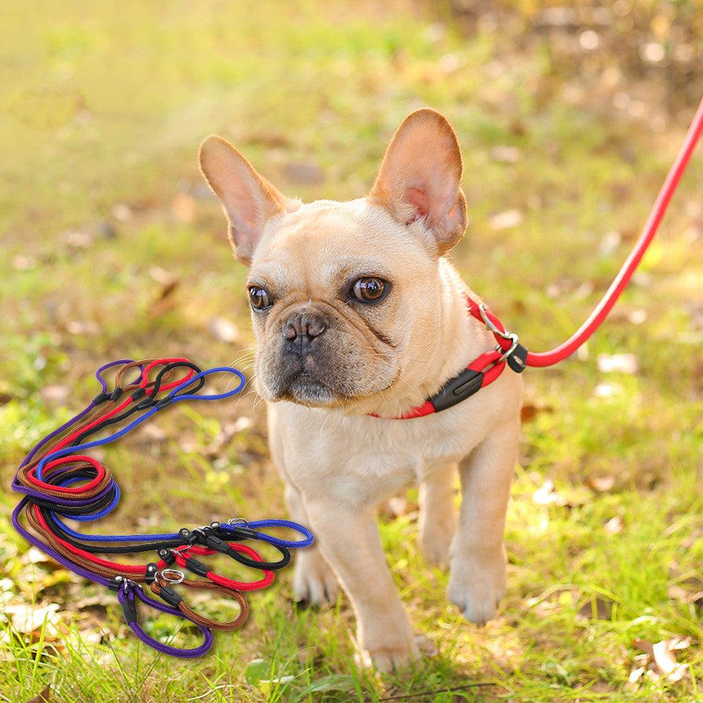 Ultimate Control Dog Leash