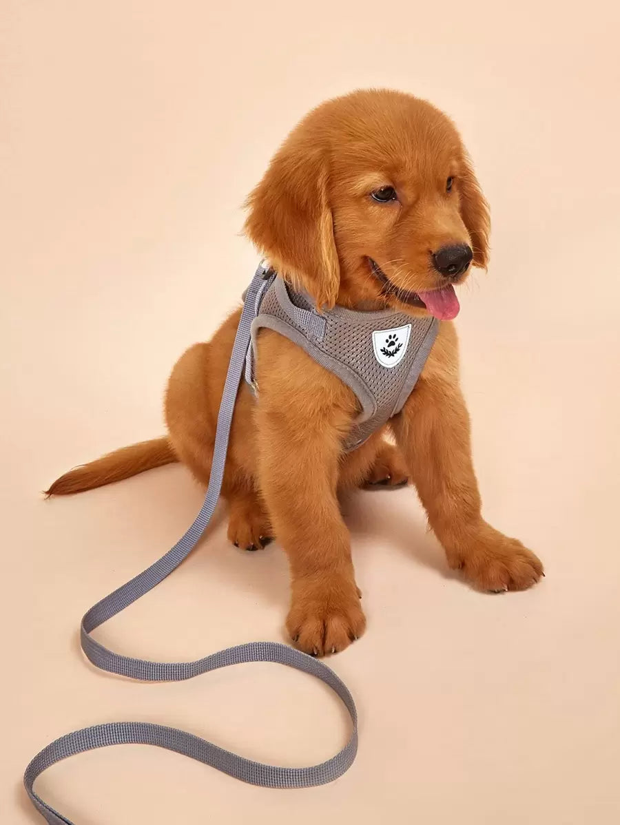 1set Breathable mesh with reflective strips pet Leash & Harness Set for outdoor