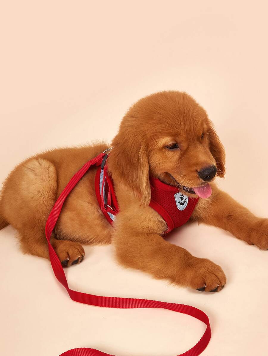 1set Breathable mesh with reflective strips pet Leash & Harness Set for outdoor