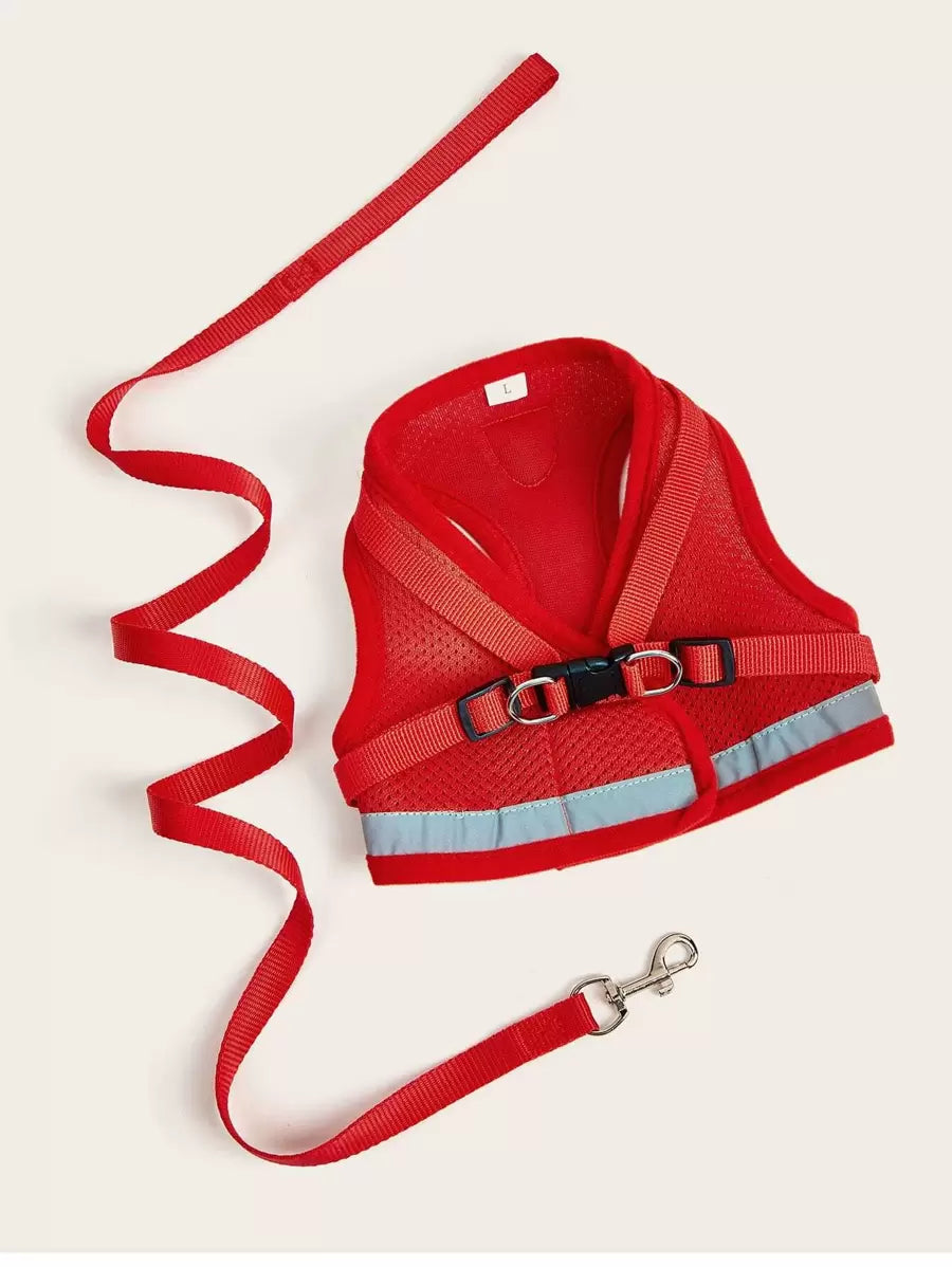 1set Breathable mesh with reflective strips pet Leash & Harness Set for outdoor