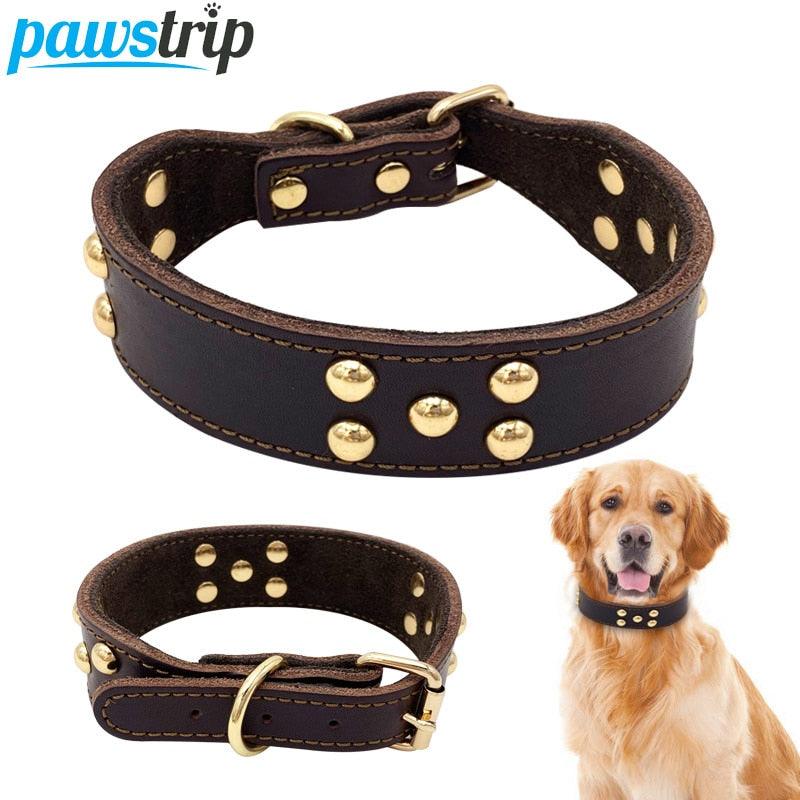 Petpals Comfortfit Dog Collar