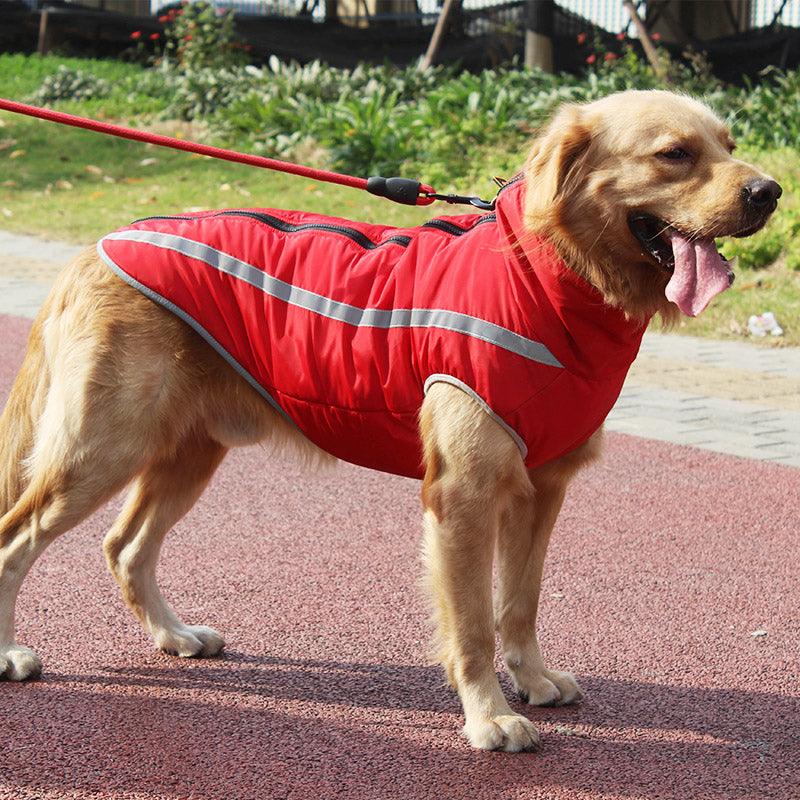 Ultra Cozy Windproof Dog Jacket