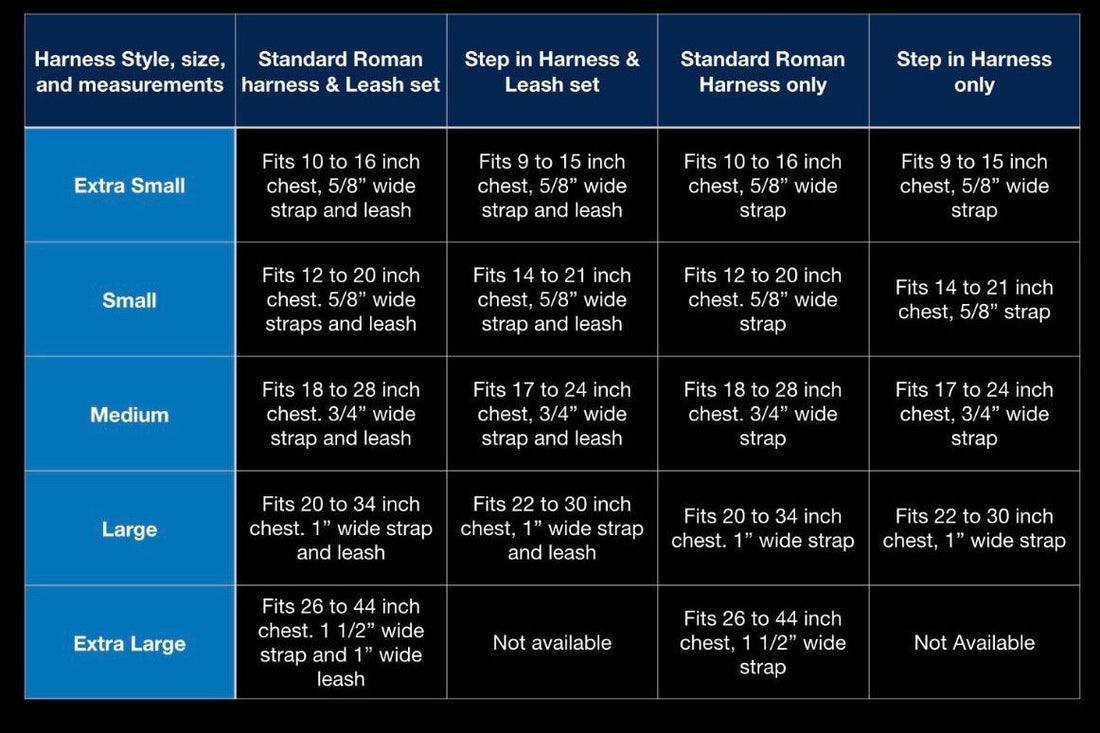 STEP IN FLORAL BUNDLE - BLACK (4 pieces)
