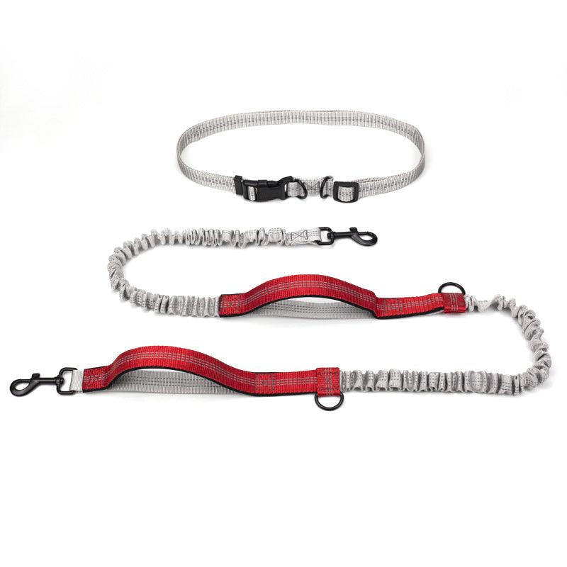 Ultimate Outdoor Adventure Dog Leash