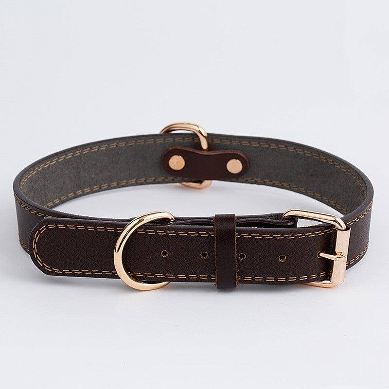 Rugged Leather Dog Collar