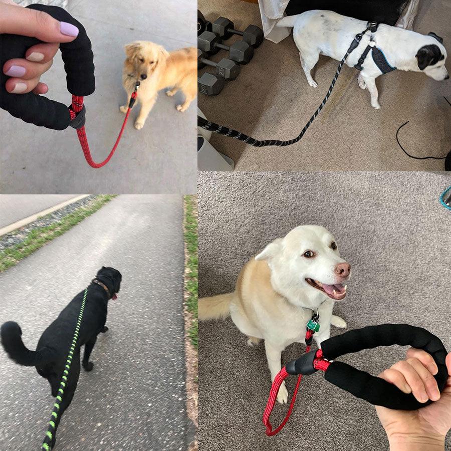 Luminous Reflective Strong Dog Leash